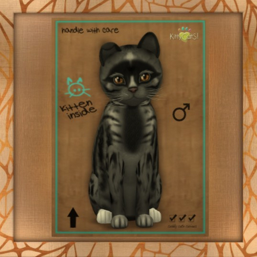 Fur: Genesis - Smokey V ♂