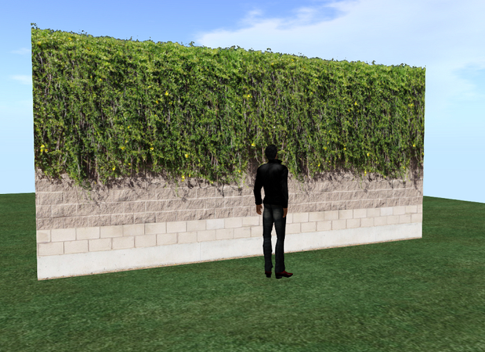 WALL WITH IVY PRIVACY FENCE