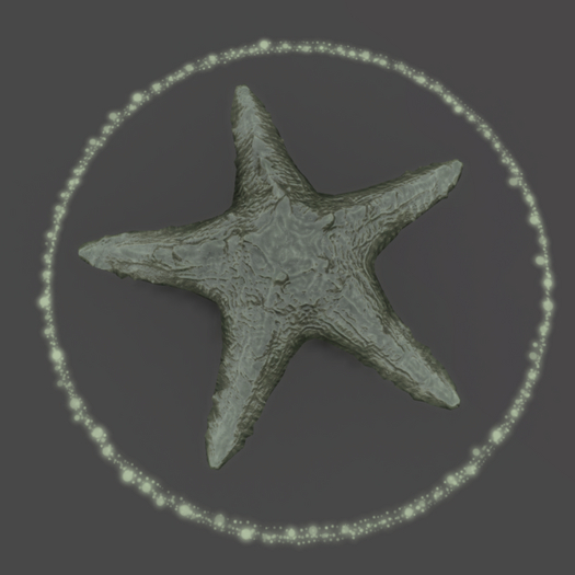 Papillon Starfish Tier 1 Diminutive/Dull, Ditzy Type-B