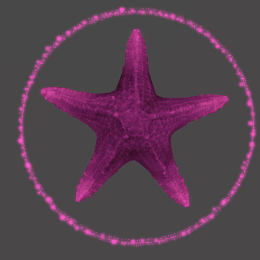 Papillon Starfish Tier 1 Diminutive/Dull,, Gloomy Type-B