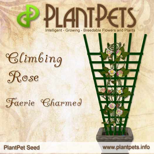 PlantPet Seed [Climbing Rose *Faerie Charmed*] RARE
