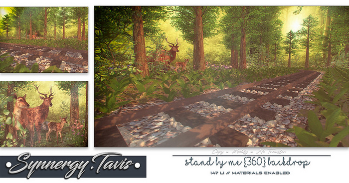 SYNNERGY.TAVIS//Stand by Me {360} Backdrop