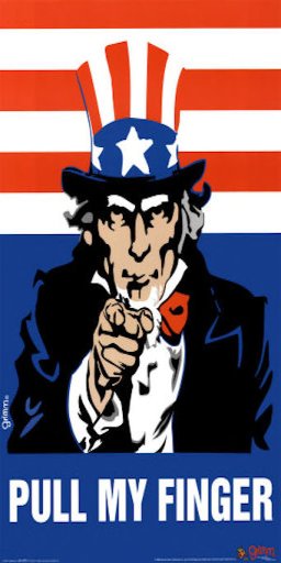 Pull My Finger Novelty Sign