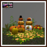 Thanksgiving - Pilgrims Pumpkins and Plants