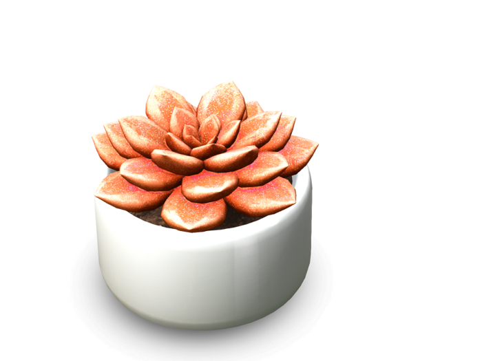 6. FINCA Orange Succulent box