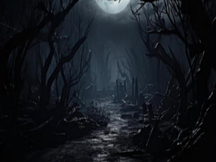 Horror Trail Texture