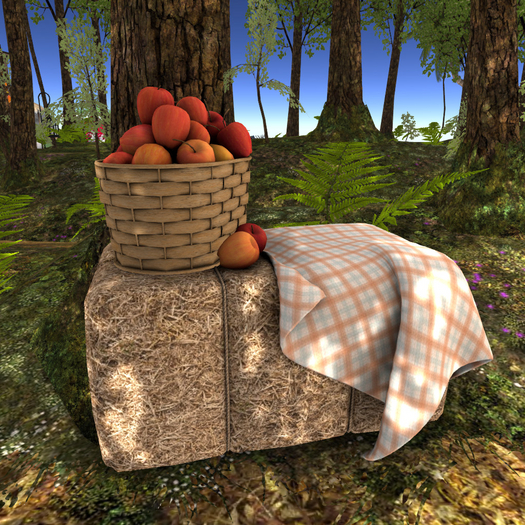[DD] Autumn Barrow Apple Basket