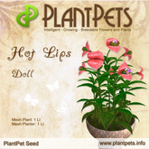 PlantPet Seed [Hot Lips *Doll*]