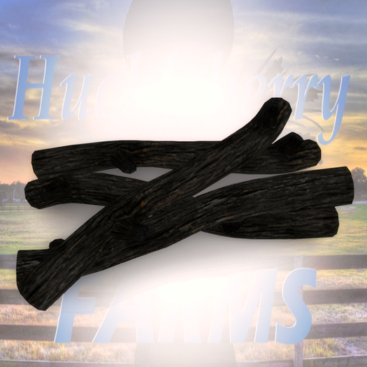 DFS HW Deadwood Pile