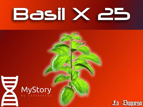 Second Life Marketplace - Basil x 25 - [MyStory]