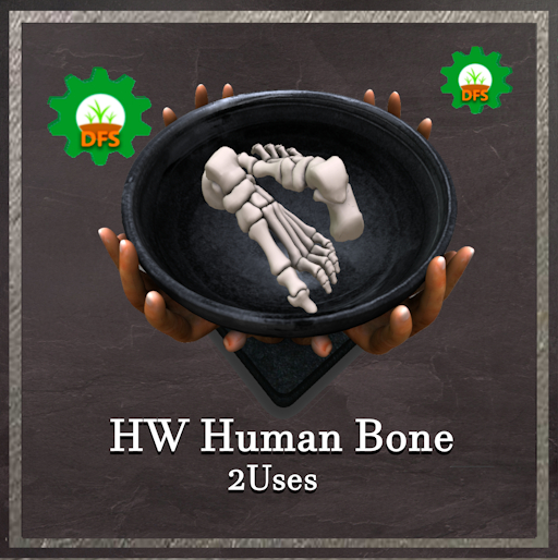 DFS HW Human Bone Textur
