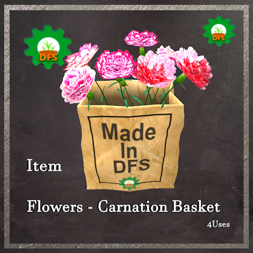 DFS Flowers - Carnation Basket Textur