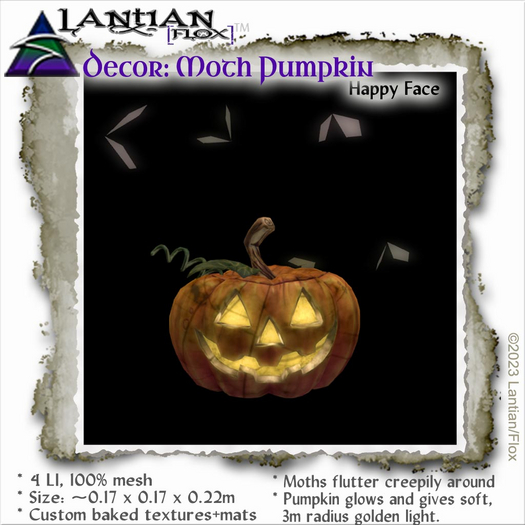 ~L/Fx~Moth Pumpkin - Happy Face (grinning jack o'lantern with bugs!)