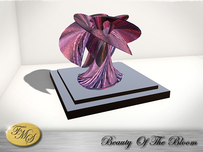 Beauty of the Bloom