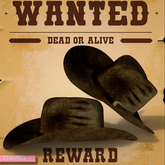 Brown Velvet Hat