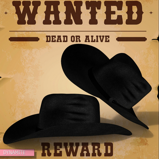 Cowboy Hat