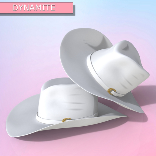 White Cowboy Hat