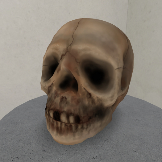 Embellish Creepy Human Skull