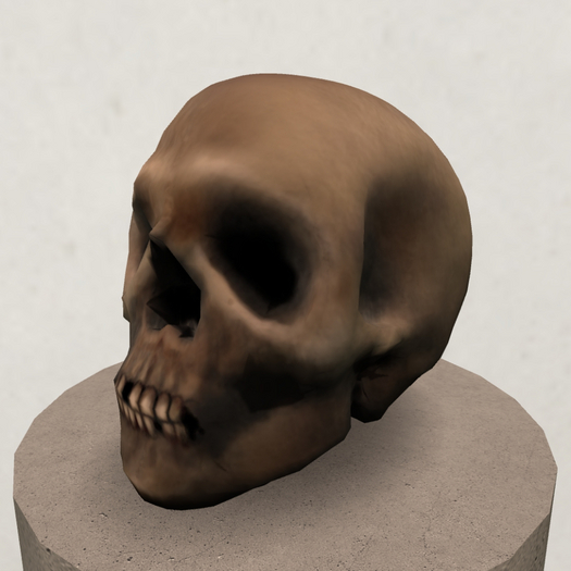 Embellish Antique Skull