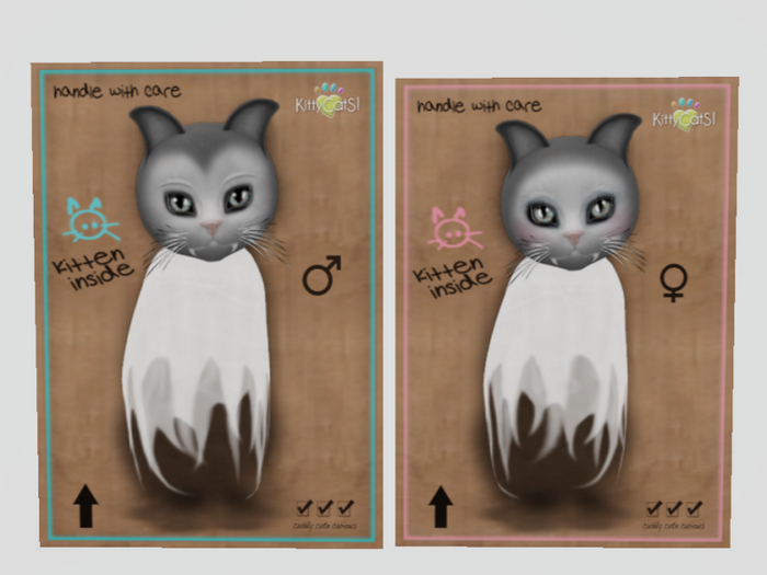 2019 VampireGhosts! - Sweet Spirit PAIR - BDB M, Norm F