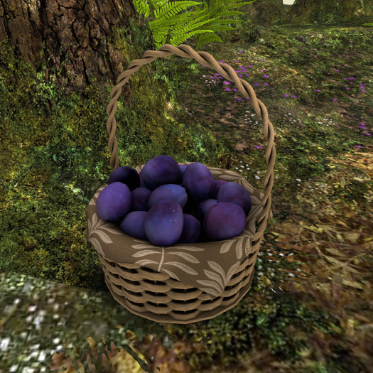 [DD] Autumn Arbour Plums