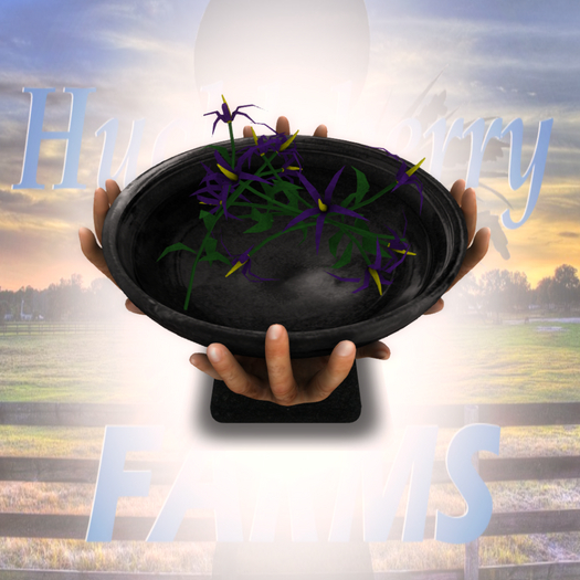 DFS HW Nightshade