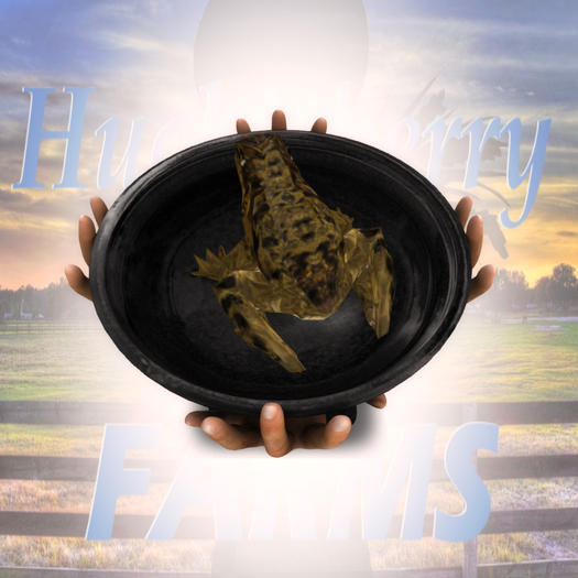 DFS HW Grave Toad