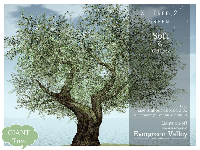 Tree|XL2Green|Landscaping