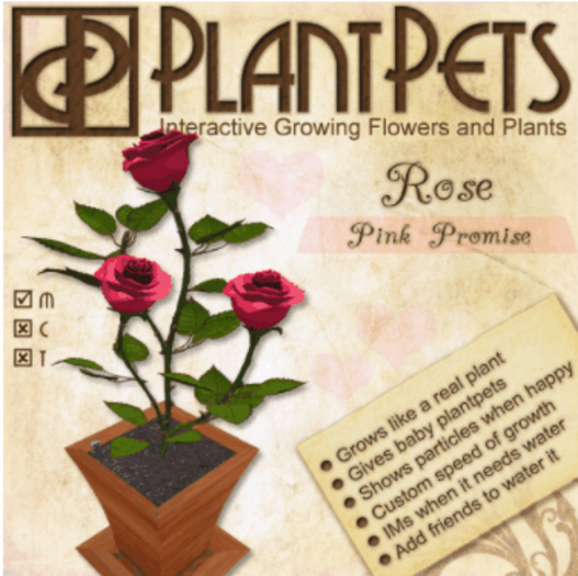 PlantPet Seed [Rose *Pink Promise*] 
