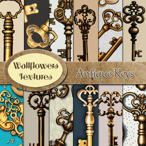 *Wallflowers* Antique Keys