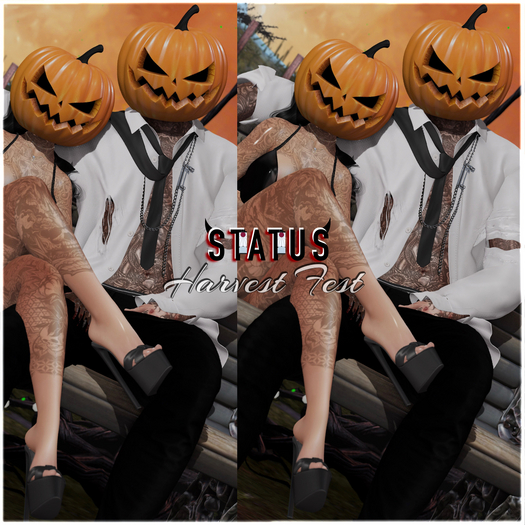 STATUS ~ Harvest Fest