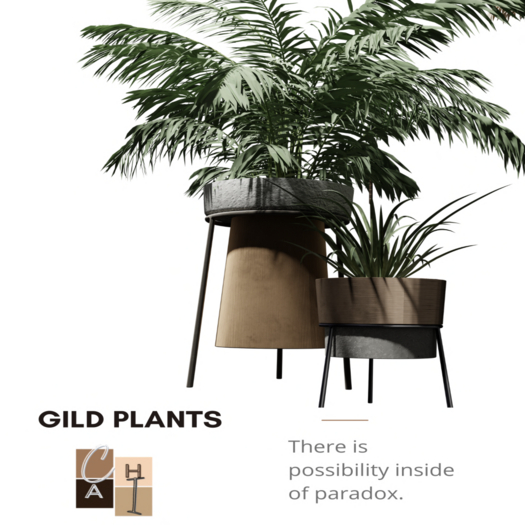 CHAI - Gild Plants