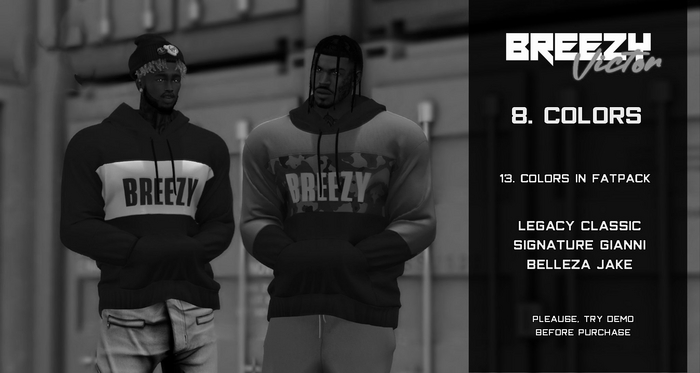 BREEZY - Victor Hoodie ''DEMO''