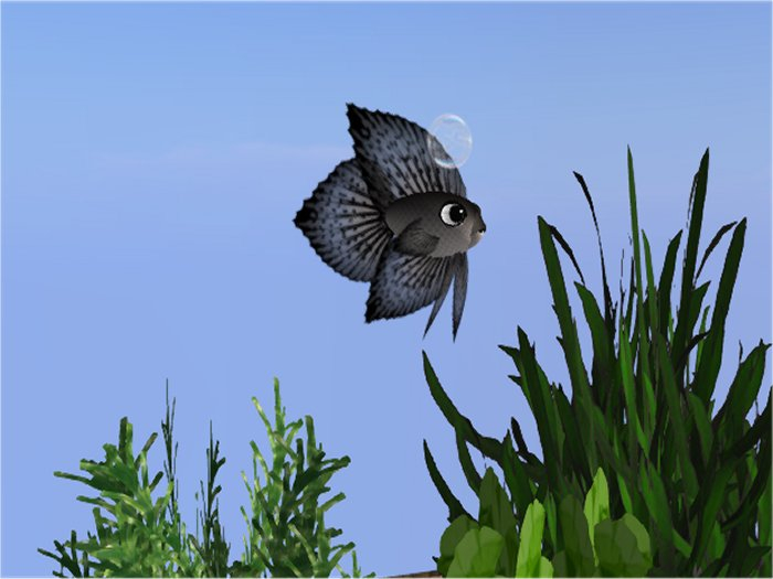 (7S) Uncommon Fish: Gray Betta