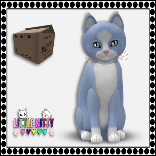 KittyCatS Box - (M) 9T Chateau Cat - Powder Puff No. 1