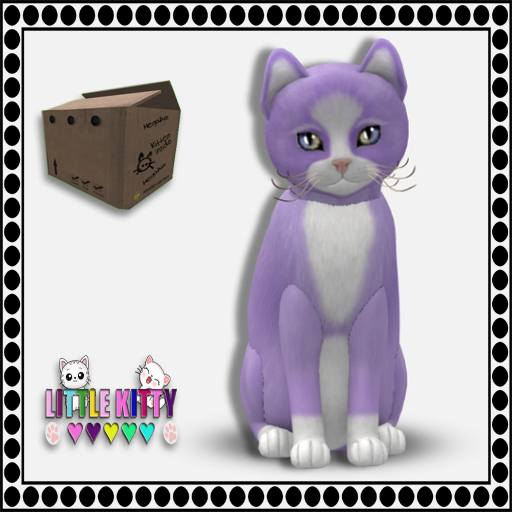 KittyCatS Box - 9T Chateau Cat - Dream Puff No. 1 M