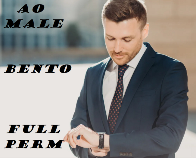 AO MALE BENTO (HUD) FULL PERM