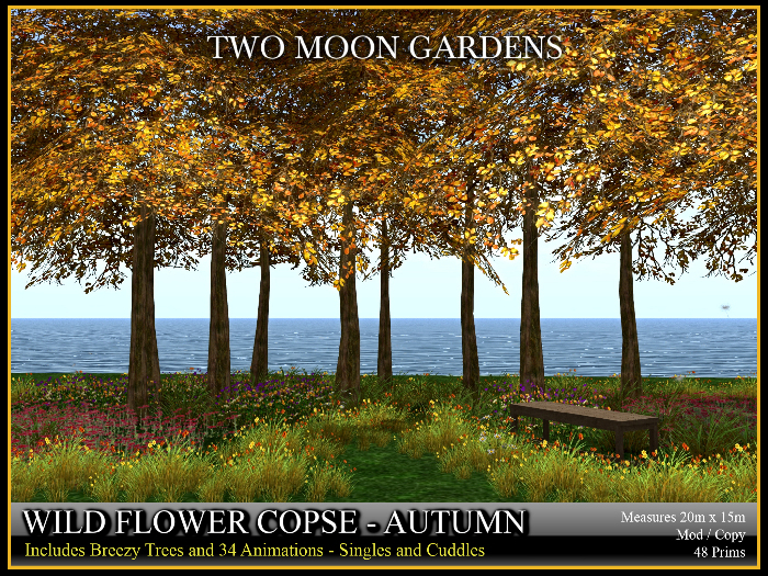 Garden|WildflowerCopse