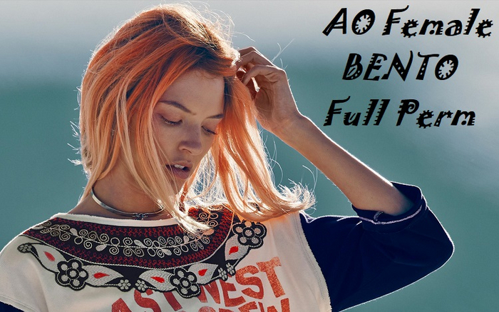 Second Life Marketplace - AO Female (HUD) BENTO Full Perm