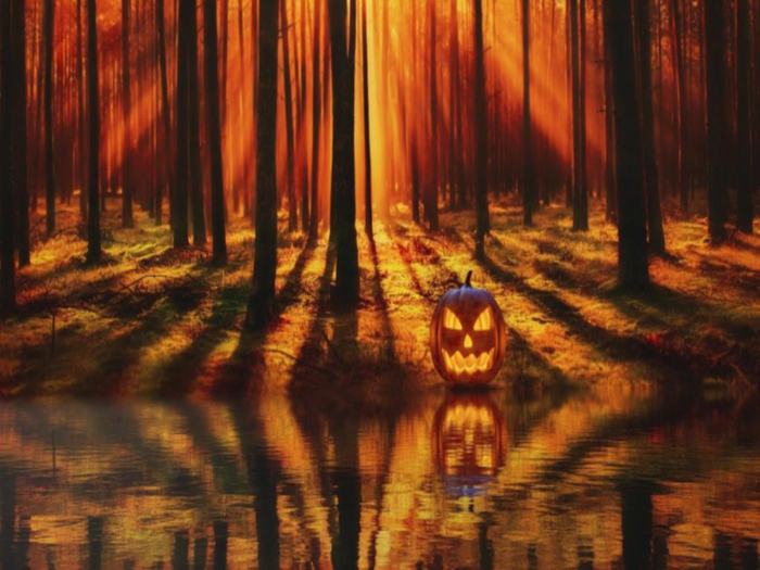 Halloween Forest Texture