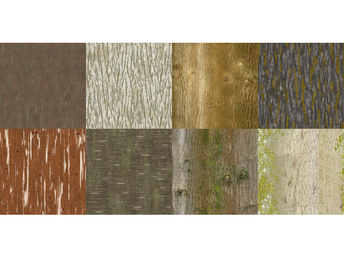 Tree bark (seamless textures)
