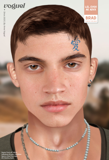 Voguel - Brad Skin RUDDY (EVOX)