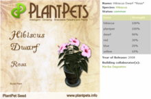 PlantPets Seed- Hibiscus Dwarf *Rosa*-Common-Taking care of Plantpets is FREE!!