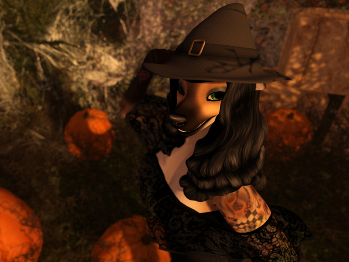 Modern Witch Hat
