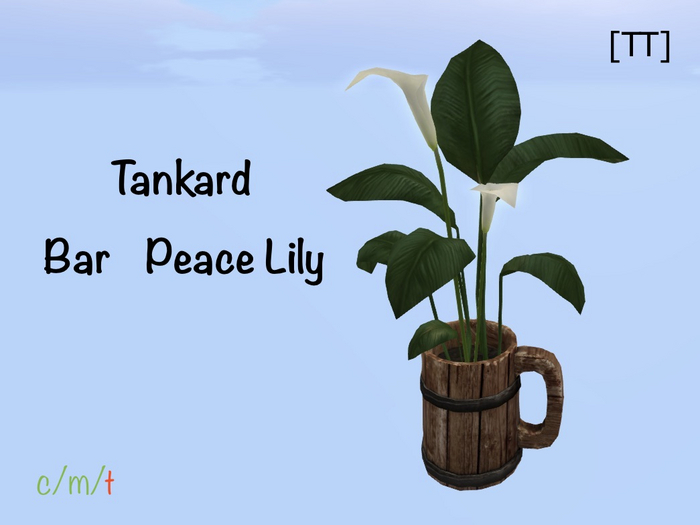 [TT] Tankard Bar Peace Lily