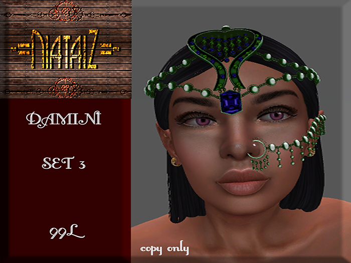 DAMINI Set 3