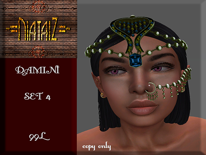 DAMINI Set 4