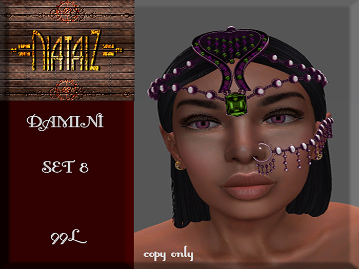 DAMINI Set 8