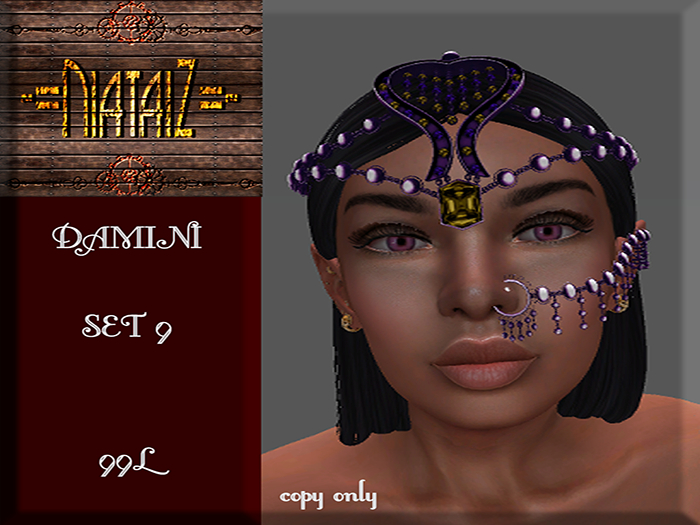 DAMINI Set 9
