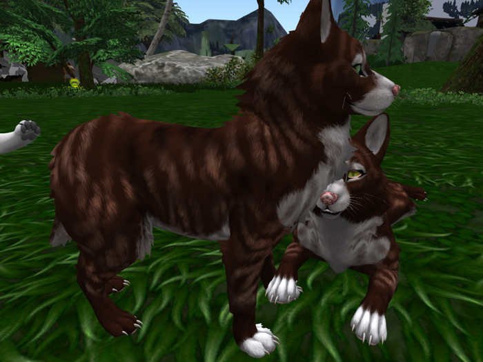 NOODLEMOD - Brindle-Pup-Mod BOXED